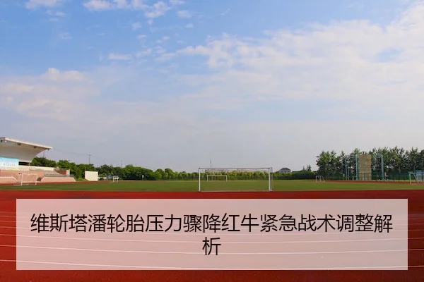 维斯塔潘轮胎压力骤降红牛紧急战术调整解析